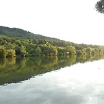 Am Faehrkopf Zell an der Mosel