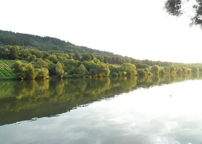 Am Faehrkopf Zell an der Mosel